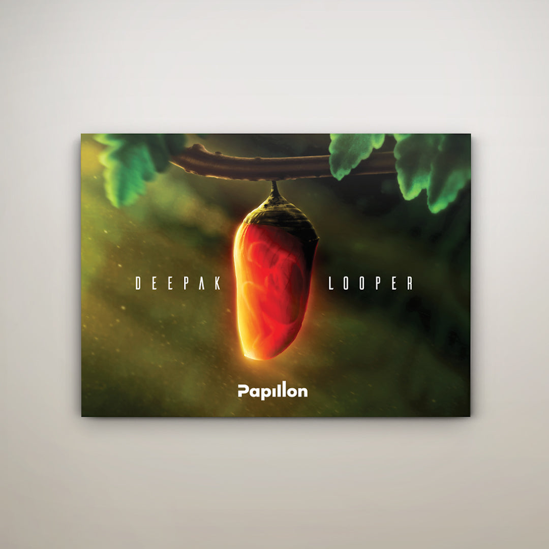 Poster “Deepak Looper” (autografado)